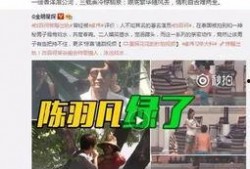 王雁林最新爆料消息视频,事件真相与幕后黑幕大曝光