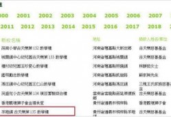 卓伟爆料慈善造假视频,揭开公益背后的黑幕